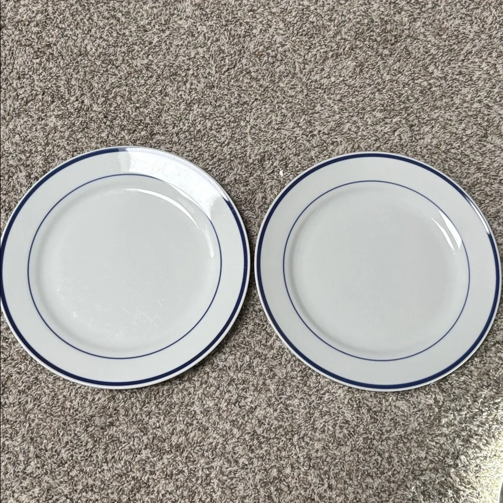 Oneida Maître d dinner plates. 2 plates white with blue circle trim